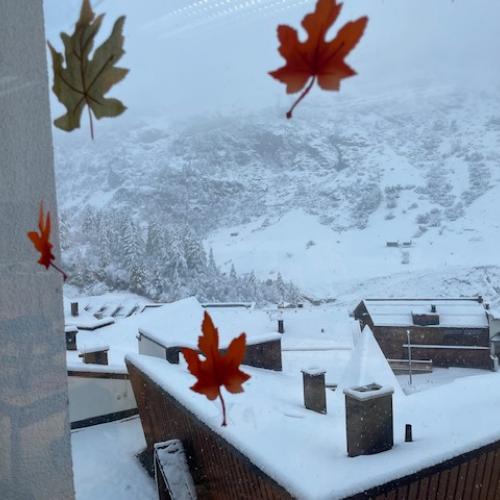 schnee1